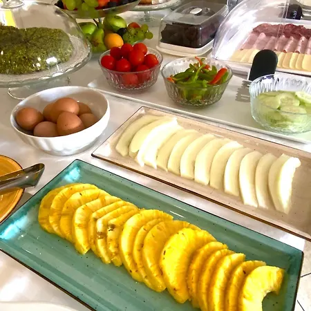 Hotel Sylesia 3*